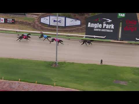 Angle-Park-25012021-Race-5