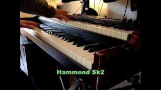 MI SI ESCLUDEVA  (VASCO ROSSI-BASSOTUBA53 )