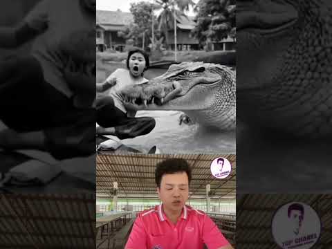 จระเข้กินคน ไอ้ด่างบางมุด ปี2507 #พากไปเรื่อย #เรื่องเล่า #ฟังเพลินๆ #จระเข้ยักษ์