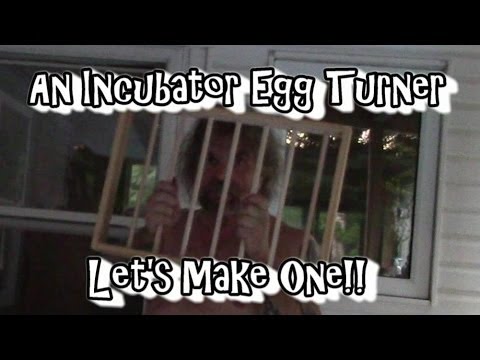 Home Made Egg Turner for the Incubator!!