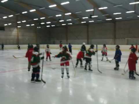 LN-70 HC - Tjejer provar på hockey 091026
