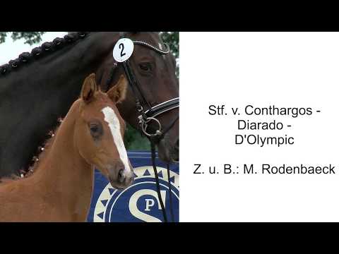 Stf v Conthargos x Diarado x DOlympic 2020