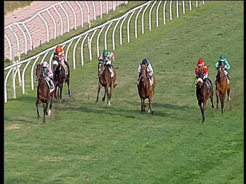 Galoppo 03/12/2019 - 2ª corsa