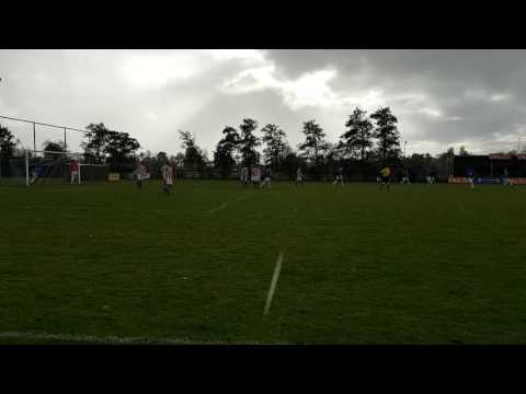 Terrasvogels - Waterloo, 1-3. 6 nov 2016