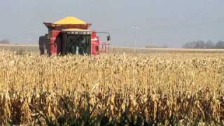 preview picture of video '2008 Combining corn near St Thomas MN'