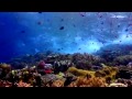 ANGGUN - OCEAN LOVE - Океан Любви.mp4 