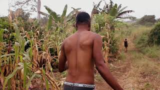 ALL THAT GLITTERS IS NOT GOLD