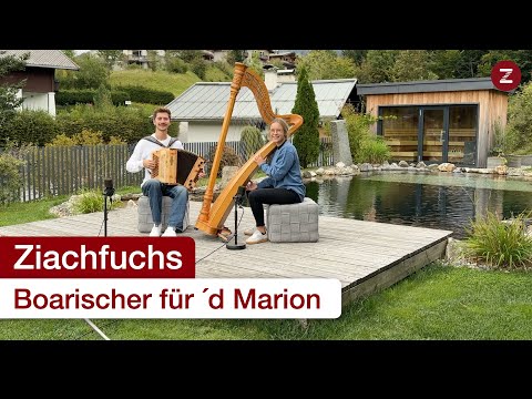 Boarischer für ‘d Marion - Steirische Harmonika & Harfe 😊🎶