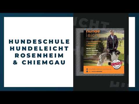 Hundeschule Hundeleicht YouTube-Vdeominiatur 8