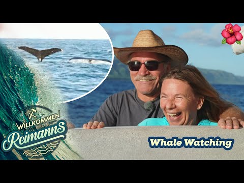 Die Qual der WAL? 🐳 Manu und Konny auf hoher See! | Willkommen bei den Reimanns