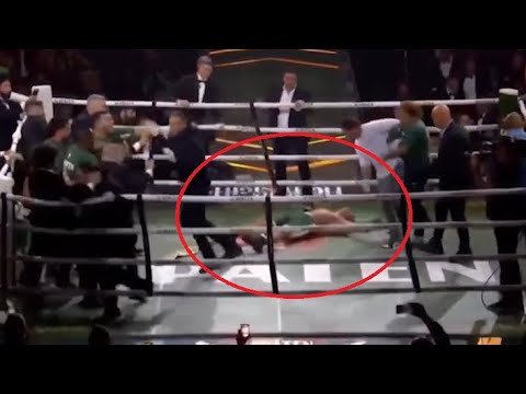 Wanderlei Silva Gets Ko'd During Massive Brawl