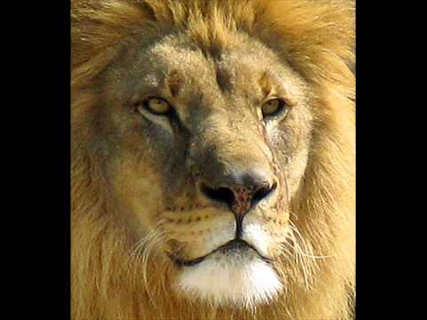 Midnite & Dezarie - Only Love