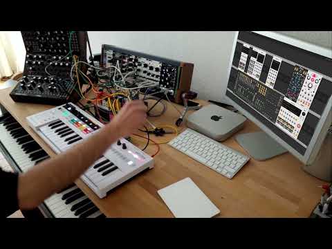 🎧 Ambient jam with Moog, Mutable Instruments and Pianoteq