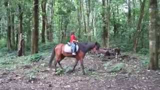 preview picture of video 'MundukWilderness Horse Riding.mp4'