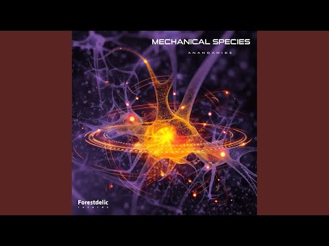 Discontinuity (Original Mix)