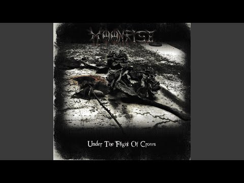 Under the Flight of Crows