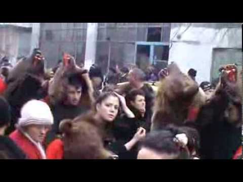 Ursii de pe valea Trotusului 30.12.2013