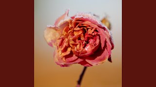 The Red Snow (feat. John Duffy)