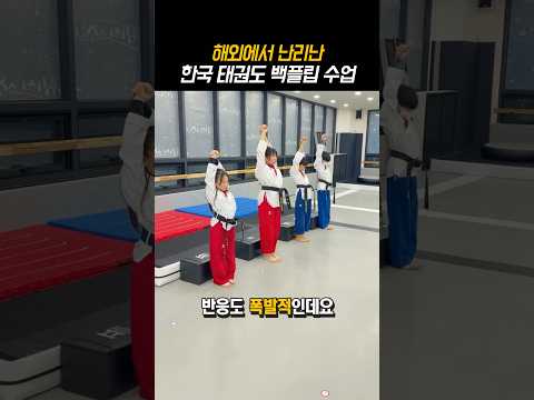 한국 태권도의 수업 방식에 감탄한 외국인들ㅋㅋㅋ