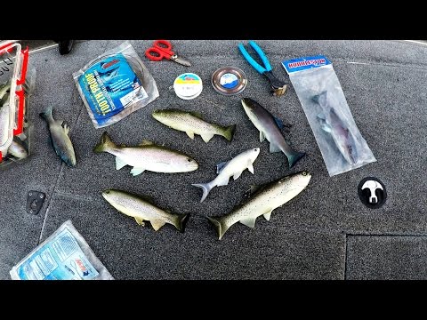 How To Rig Swimbaits (The BEST Way You've NEVER Heard Of)