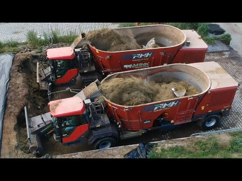 Milchvieh futtern mit RMH