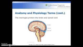 Medical Terminology - Nervous System and Mental Health - Part 1