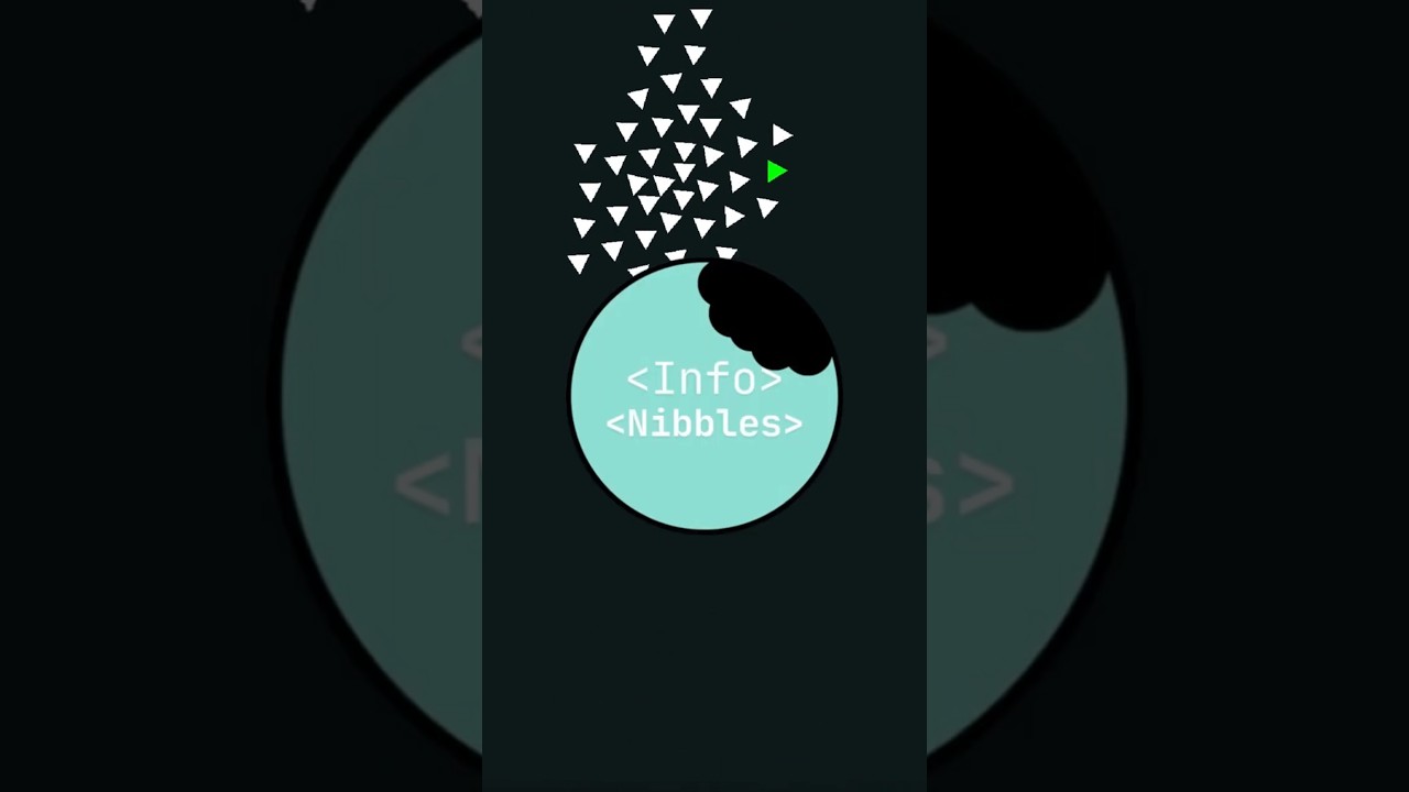 Coding a boids simulation in 1 minute!