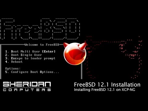 How to install FreeBSD on XCP-NG