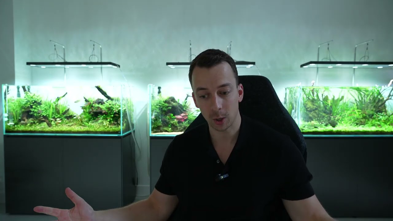 MJ Aquascaping Masterclass