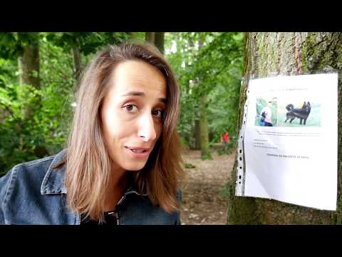 Náhled pro video reference