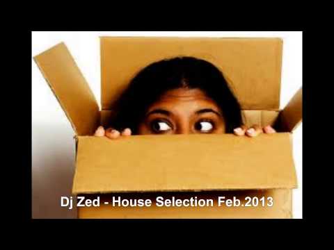 DjZed - House Selection Feb.2013(Heatbeat,Dyno,Magitman,Daniel Portman,Moonbeam,Tomcraft)