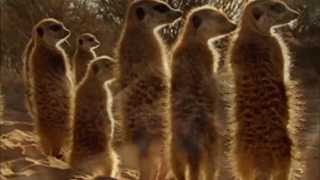 We Found Love   Lindsey Stirling