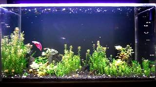 SeaClear System II Update 4