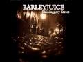 Barleyjuice - Get Your Irish On 