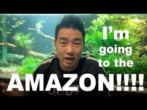 I'm going to the Amazon Rainforest!!!! Part 1