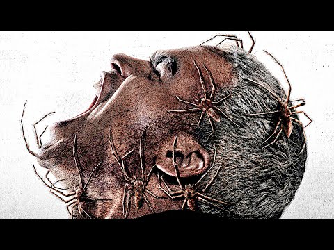 VERMINES Bande Annonce (2023) Nouvelle