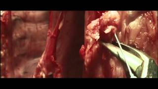 Converge &quot;Empty on the Inside&quot; + Pálfi &quot;Taxidermia&quot;