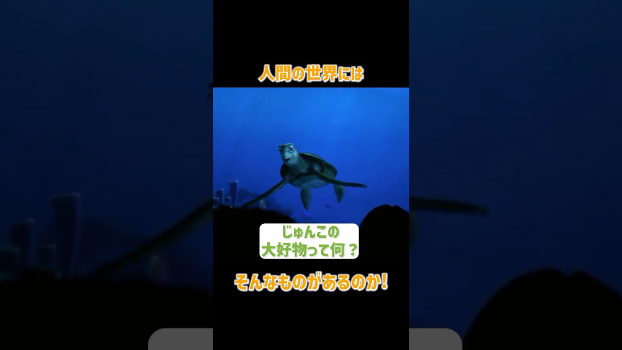 人間の世界にはそんなものがあるのか#クラッシュ #ディズニー #タートルトーク
