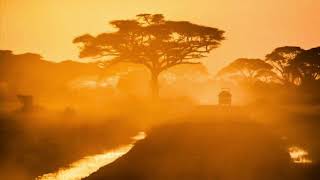 Download lagu Villager SA & Nylo M - Gold Dust (Afro Drum) mp3