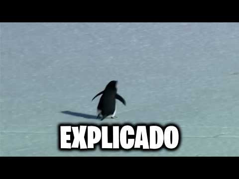 The Penguin Video That the Internet Can't Explain (BUT WHY?)