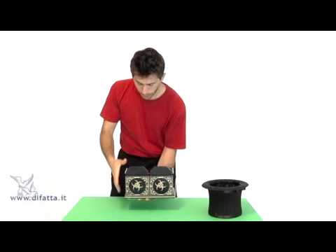 Split Die Box by Sunil Batra