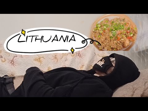 Lithuanian Makes Egg Fried Rice