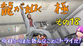 ⑱【龍が如く　極】新年って言っても大幅に変わらないプレイスタイル【初見プレイ】
