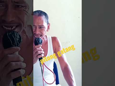 Pitong Gatang song#opm#oldiesbutgoodies#shortsfeed #ytshorts #youtubeshort #tagalogsong #pinoysongs