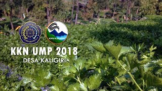preview picture of video 'KKN UMP 2018 Kelompok 120 | Profil Desa Kaligiri'