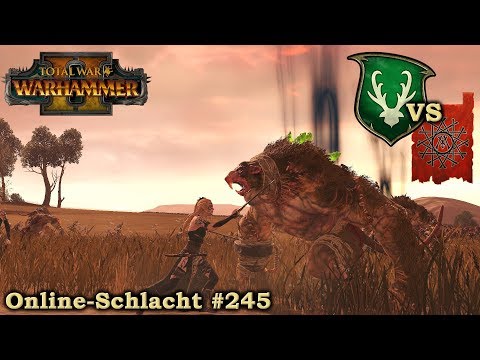 Ehrenwerte Kampfdamen - Waldelfen vs Skaven - Total War: Warhammer 2 - #245 [Deutsch/German]