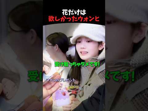 花だけは欲しかったウォンヒ #illit #kpop #kpopアイドル
