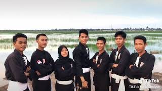 Download lagu Story' wa silet mp3 Download lagu Story' wa silet mp3