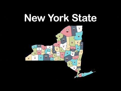 New York State/New York Counties/New York State Counties