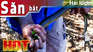 Câu lươn đồng - kỷ niệm xuân 2015